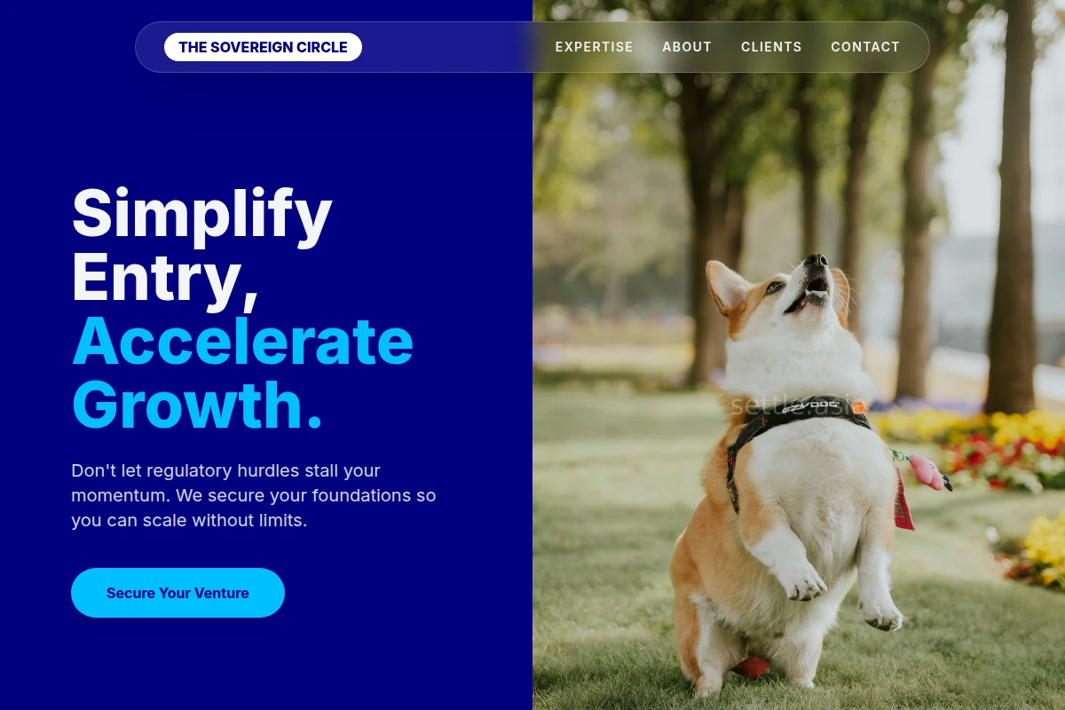 Venture Compliance Consulting